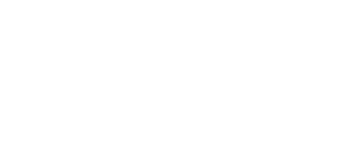 BitKollegen – Ihr digitaler Wachstumspartner für effiziente IT-Lösungen