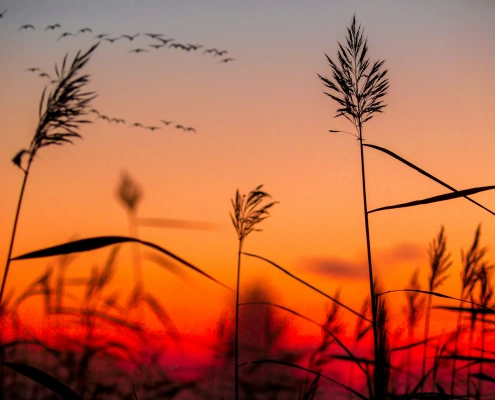 Professionelle IT-Leistungen – Frontend, Backend, Mobile & mehr